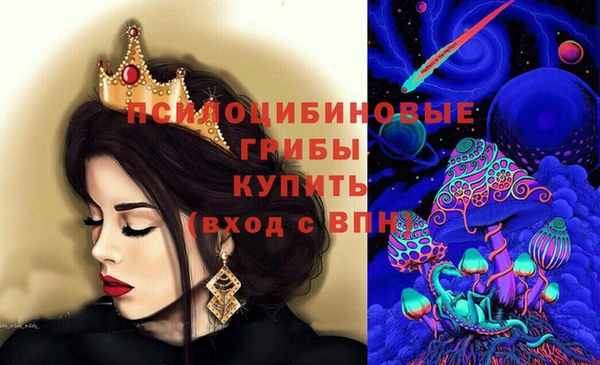наркотики Бородино