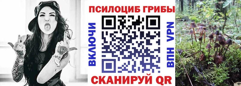 Галлюциногенные грибы Cubensis Купить закладки Славгород
